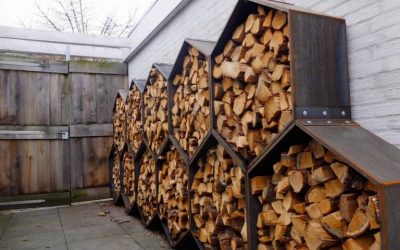 What is the Best kind of firewood to burn?
