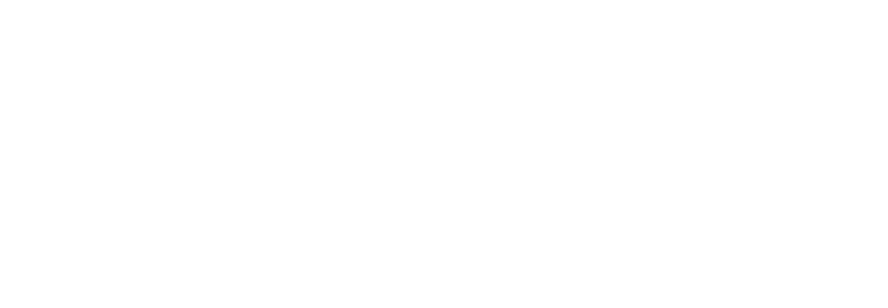 Guardian Chimney Sweep