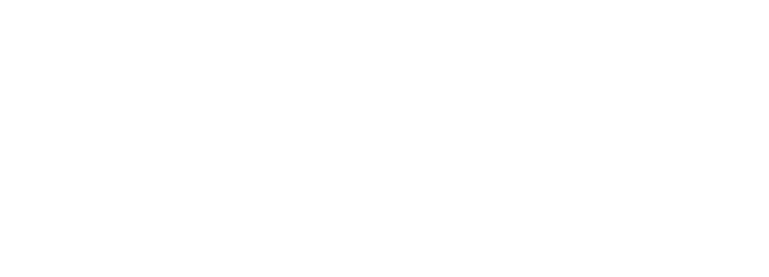 Guardian Chimney Sweep