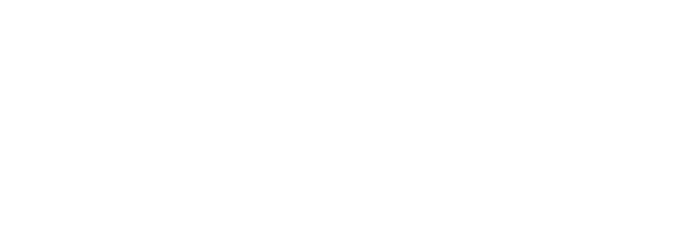 Guardian Chimney Sweep Fireplace Services