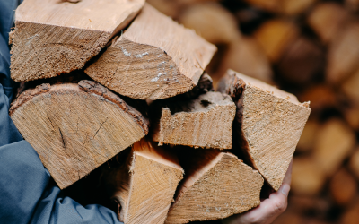 Right Firewood for Your Fireplace